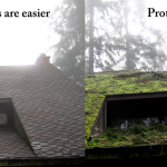 before-and-after-roof-repair