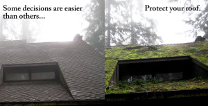 before-and-after-roof-repair